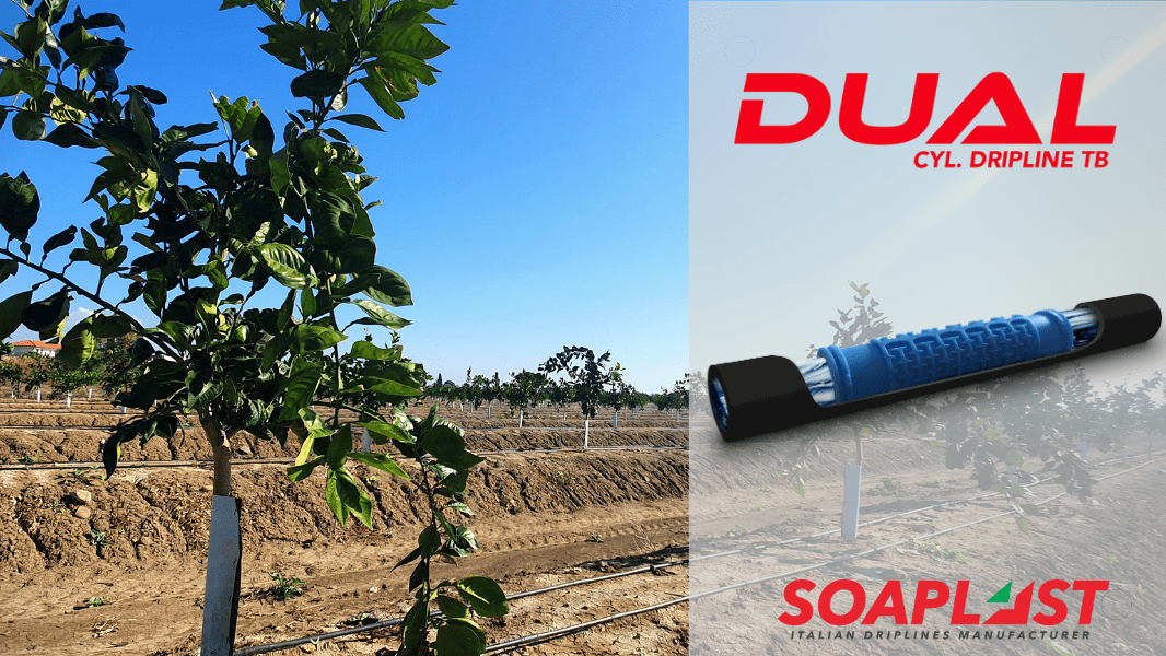 soaplast-riego-citricos|soaplast-riego-citricos|dual-riego-goteo-citricos